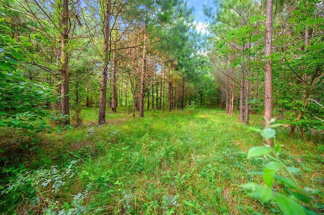 5757 Pine Seed Trl, Broken Bow, OK 74728