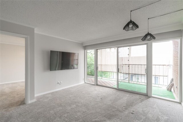 6100 N Brookline Ave Unit 20, Oklahoma City, OK 73112 - unfurnished living room featuring carpet floors and a textured ceiling