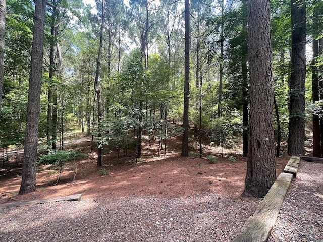 113 Bentwater Rd, Broken Bow, OK 74728 - view of nature