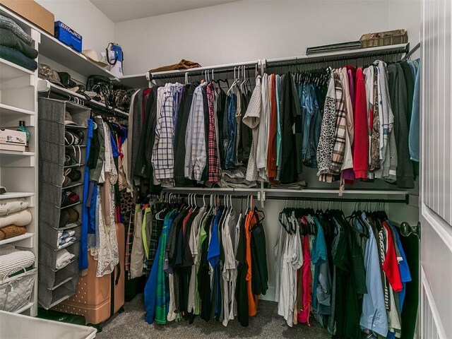 11712 Muirfield Ln, Guthrie, OK 73044 - walk in closet with carpet flooring