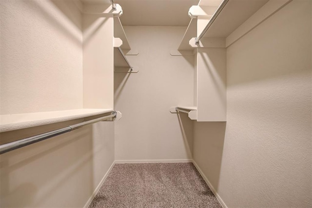 8008 NW 111th St, Oklahoma City, OK 73162 - photo 33
