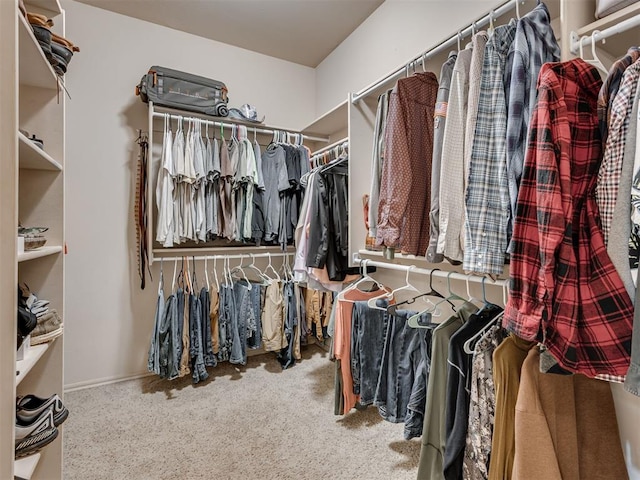 1810 Sandpiper Dr, Blanchard, OK 73010 - walk in closet with carpet flooring