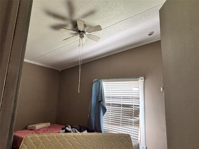 17871 E 1200th Rd, Erick, OK 73645 - bedroom featuring ornamental molding, a ceiling fan, and a textured ceiling