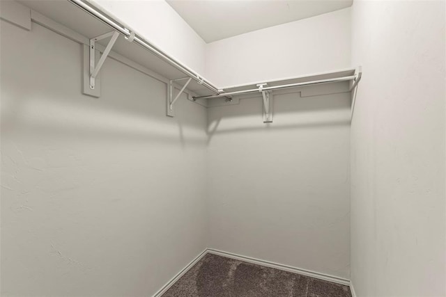 11501 Ruger Rd, Yukon, OK 73099 - walk in closet with carpet flooring