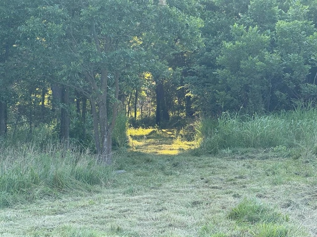 Pecan Valley Rd, Tecumseh, OK 74873 - photo 2