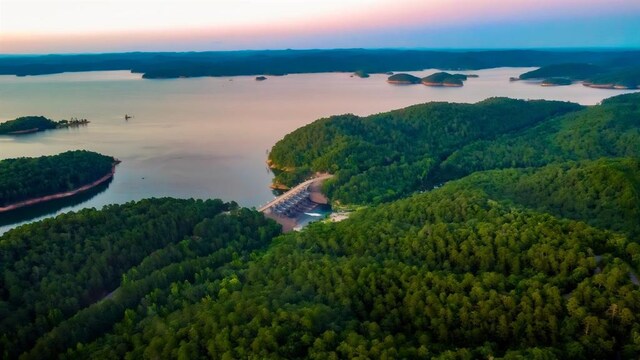 145 Lake Bluff Ln, Broken Bow, OK 74728 - photo 4