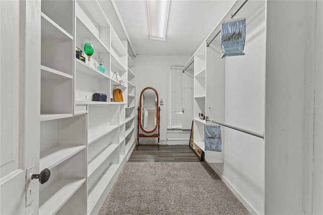 625 N Broadway St, Hydro, OK 73048 - spacious closet with dark carpet