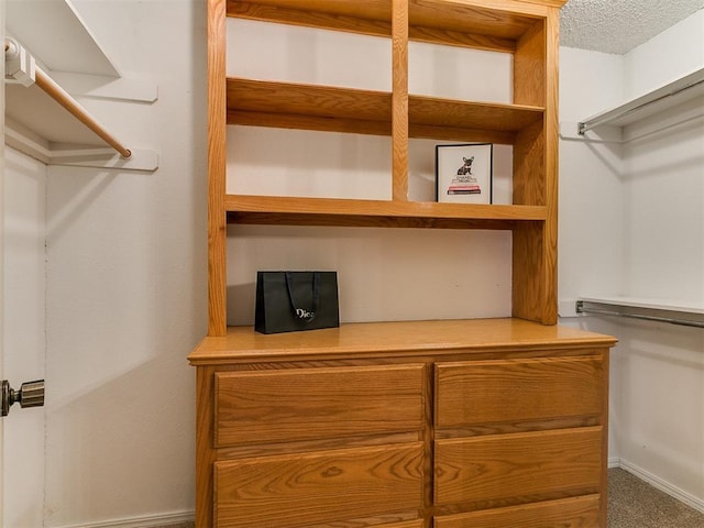1221 Val Genes Rd, Edmond, OK 73003 - walk in closet with carpet floors