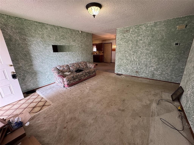 1217 Dove Hollow Dr, Tecumseh, OK 74873 - carpeted living area with a textured ceiling