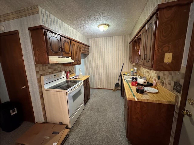1217 Dove Hollow Dr, Tecumseh, OK 74873 - kitchen with white range with electric cooktop, wallpapered walls, under cabinet range hood, light countertops, and a textured ceiling