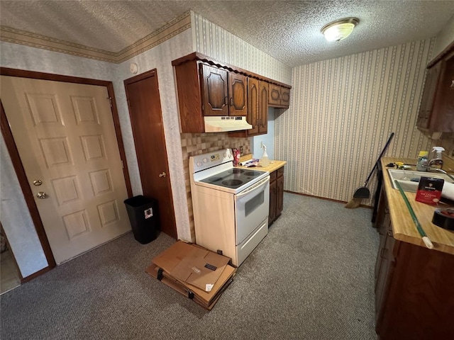 1217 Dove Hollow Dr, Tecumseh, OK 74873 - kitchen with white range with electric stovetop, wallpapered walls, a textured ceiling, under cabinet range hood, and carpet flooring