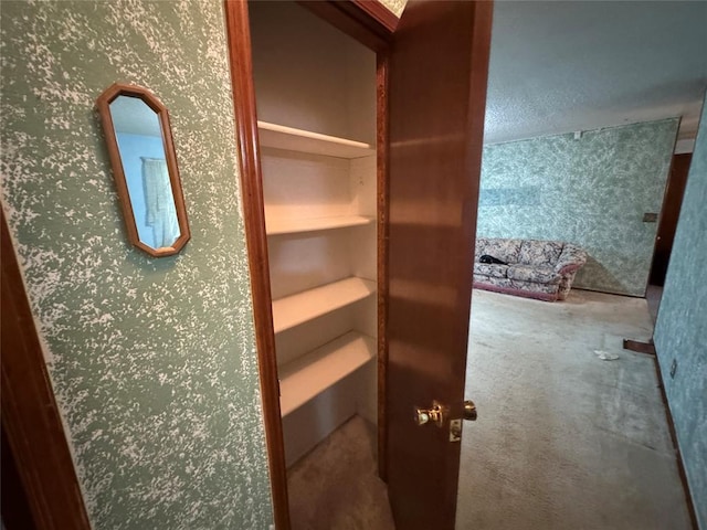 1217 Dove Hollow Dr, Tecumseh, OK 74873 - view of storage area