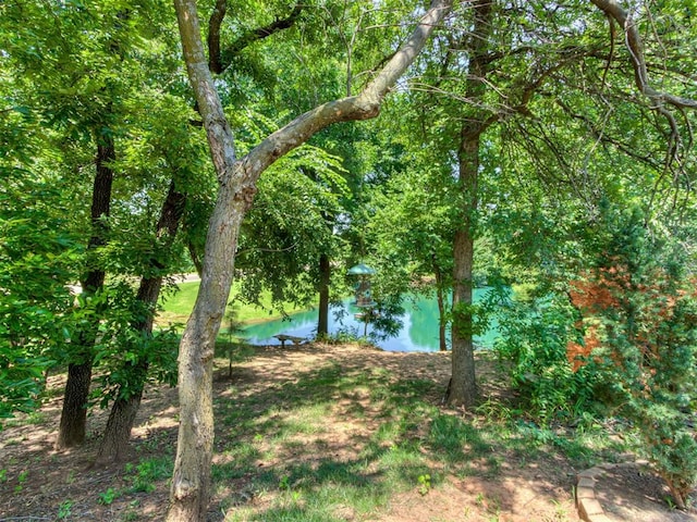 123 E Lakeview Trl, Edmond, OK 73003 - photo 46