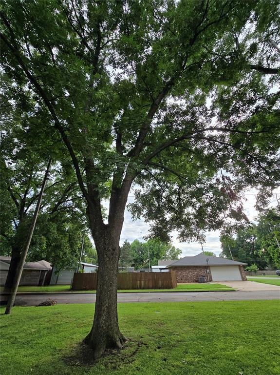 730 N Santa Fe St Unit 4052073333, Pauls Valley, OK 73075 - view of yard