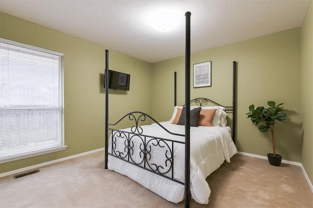 14213 Pecan Hollow Ter, Edmond, OK 73013 - bedroom with carpet and multiple windows
