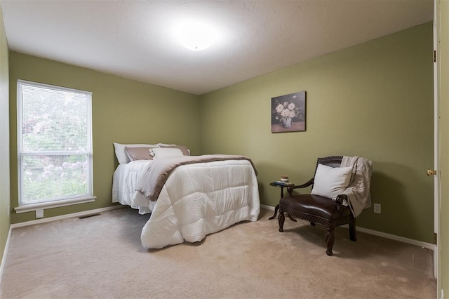 14213 Pecan Hollow Ter, Edmond, OK 73013 - bedroom with carpet flooring and baseboards