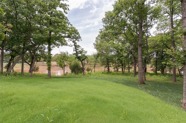 3005 Bee Hive Way, Jones, OK 73049 - view of yard