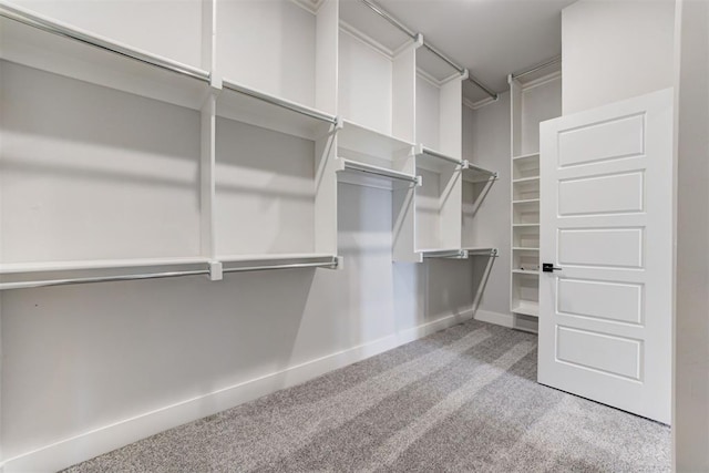 4337 Pinon Ln, Piedmont, OK 73078 - walk in closet with carpet flooring