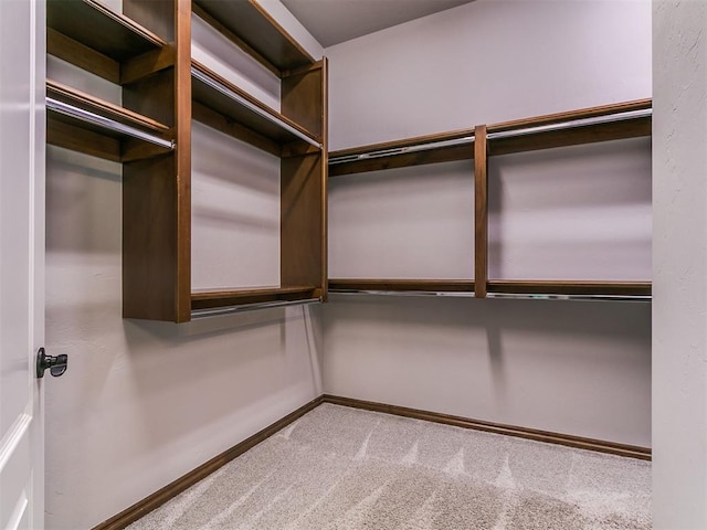13705 Cascata Strada St, Oklahoma City, OK 73170 - spacious closet with carpet floors