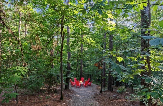 2105 Pine Hills Rd, Broken Bow, OK 74728 - view of yard with a view of trees