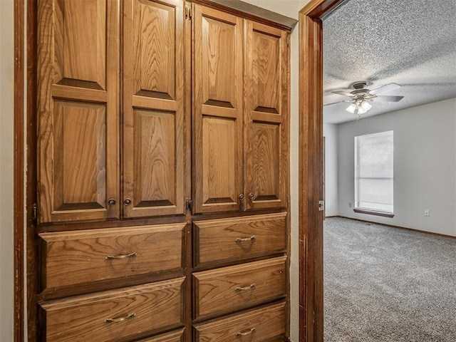 4812 Hunton Ter, Yukon, OK 73099 - detailed view of carpet floors, a textured ceiling, and a ceiling fan