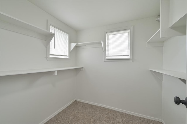 1200 NW 95th St, Oklahoma City, OK 73114 - spacious closet with carpet
