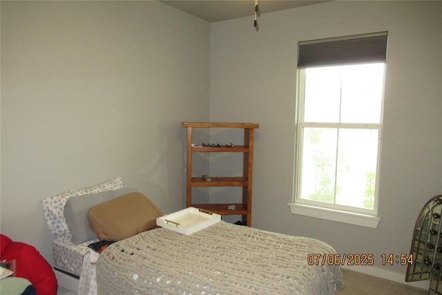 3909 Sorano Dr, Moore, OK 73160 - view of carpeted bedroom