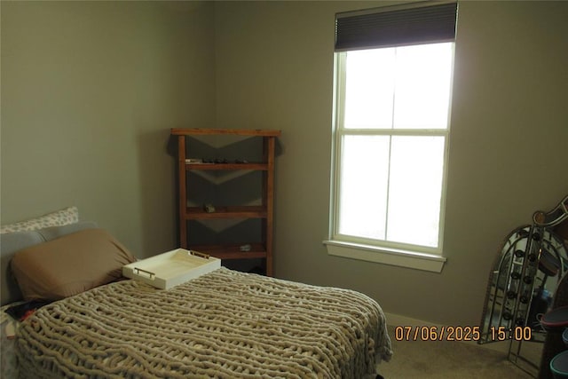 3909 Sorano Dr, Moore, OK 73160 - view of carpeted bedroom