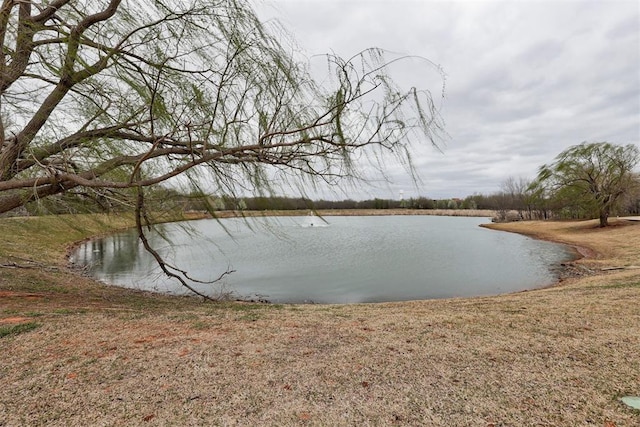 2803 Hidden Prairie Way, Edmond, OK 73013 - water view