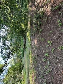 808 W Stephens Ave, Duncan, OK 73533