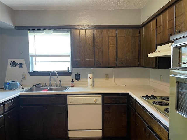 kitchen with white dishwasher, stainless steel electric cooktop, under cabinet range hood, and light countertops