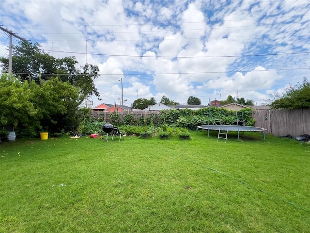 223 SE 53rd St, Oklahoma City, OK 73129 - view of yard with a trampoline