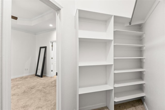1505 S Augusta Dr, Ada, OK 74820 - walk in closet with carpet