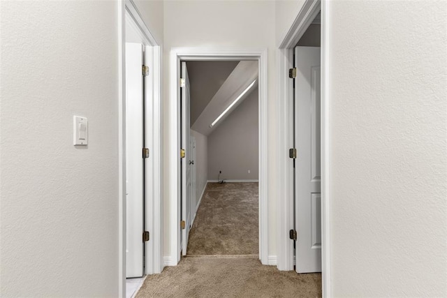 1505 S Augusta Dr, Ada, OK 74820 - hall with carpet floors and vaulted ceiling