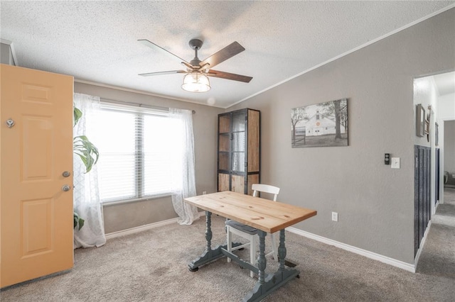 1300 Hutton Rd, Marlow, OK 73055 - office with a textured ceiling, carpet flooring, ceiling fan, and crown molding