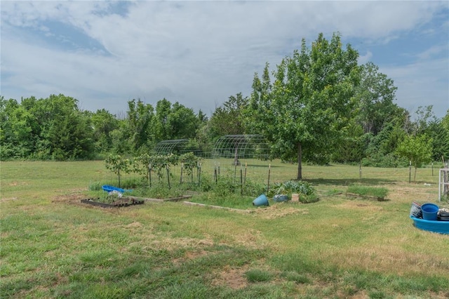 1300 Hutton Rd, Marlow, OK 73055 - view of grassy yard featuring a vegetable garden