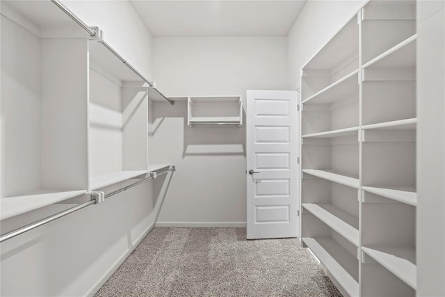 1244 Layla Ln, Blanchard, OK 73010 - spacious closet featuring carpet floors
