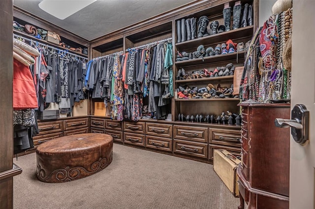 1701 Woodhill Rd, Edmond, OK 73025 - walk in closet with carpet