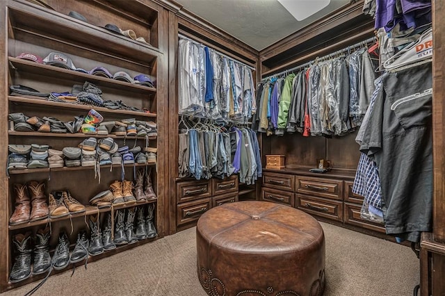 1701 Woodhill Rd, Edmond, OK 73025 - walk in closet with carpet floors