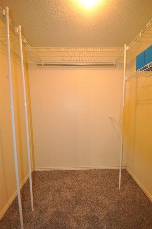 1333 SW 95th St, Oklahoma City, OK 73159 - walk in closet featuring carpet