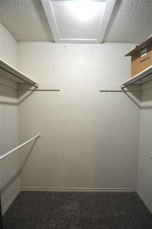 1333 SW 95th St, Oklahoma City, OK 73159 - spacious closet with carpet