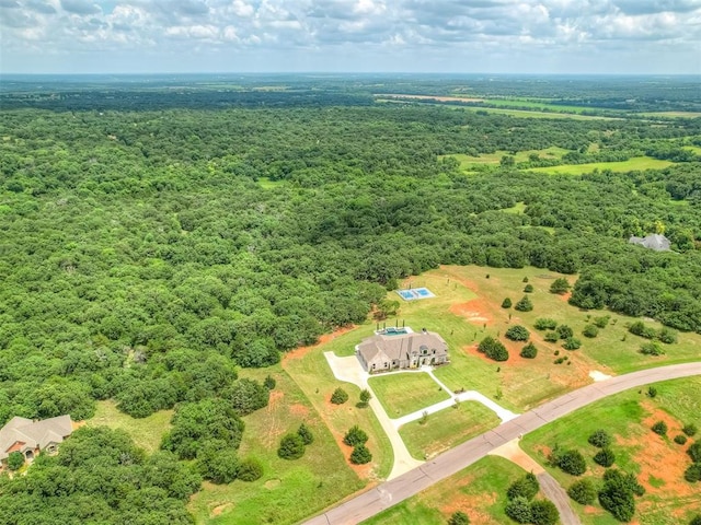 19890 Hickory Ridge Rd, Arcadia, OK 73007 - bird's eye view of a forest