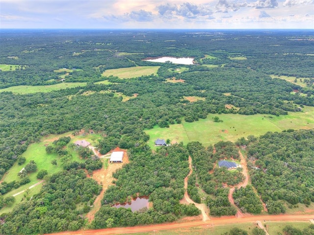 11275 S Henney Rd, Meridian, OK 73058 - bird's eye view of a large body of water