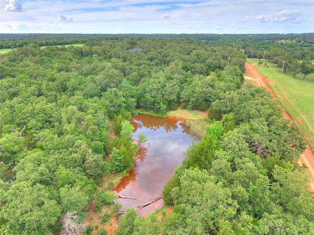 11275 S Henney Rd, Meridian, OK 73058 - bird's eye view of a heavily wooded area and a nearby body of water