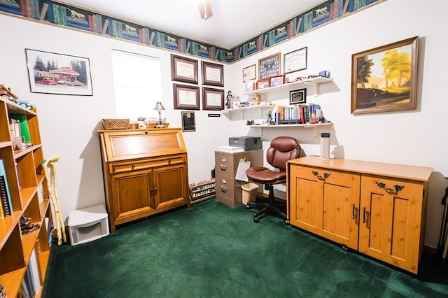 207 S Mcclure Ave, Pauls Valley, OK 73075 - home office with dark colored carpet