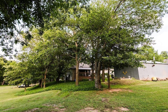 207 S Mcclure Ave, Pauls Valley, OK 73075 - view of grassy yard