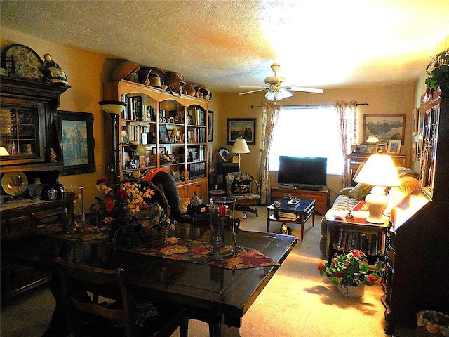 1420 W 17 Th St, Sulphur, OK 73086 - photo 9