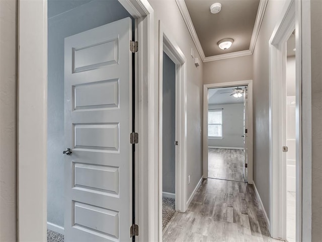 8612 SW 36th Ter, Oklahoma City, OK 73179 - hallway with crown molding and light wood finished floors