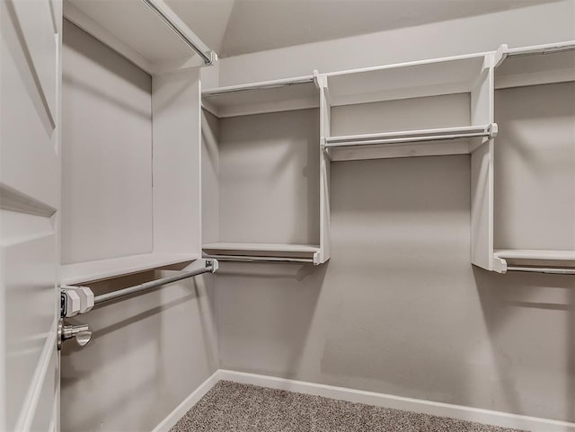 8612 SW 36th Ter, Oklahoma City, OK 73179 - spacious closet with carpet flooring