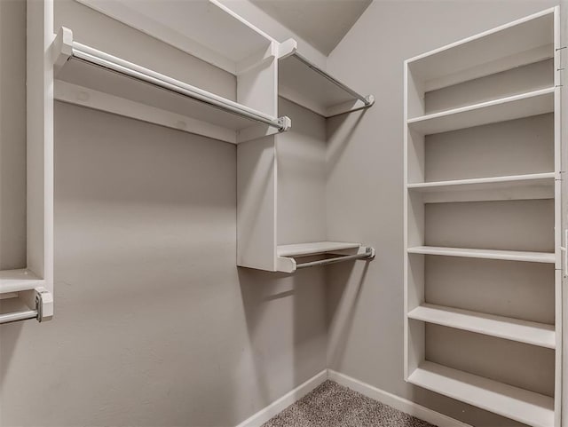 8612 SW 36th Ter, Oklahoma City, OK 73179 - walk in closet featuring carpet floors